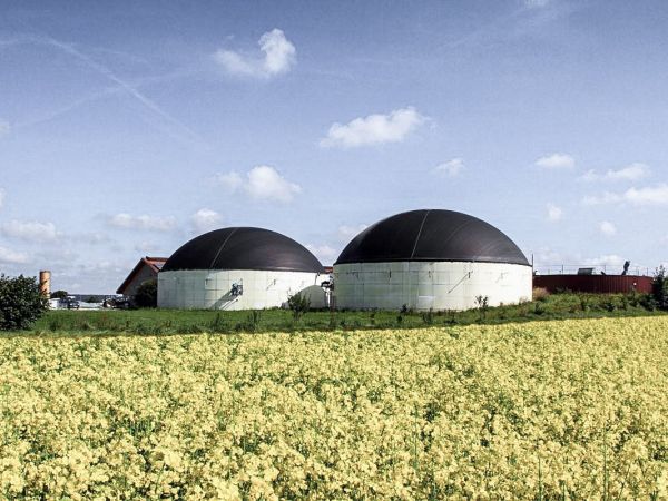 Bioerdgas-Anlage und Rapsfeld