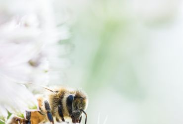 „stromfresser-finden“ / „stromverbrauch-reduzieren“